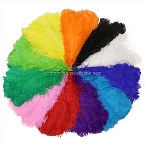 Plumes d'autruche colorées de qualité supérieure, 50-55 cm (20-22 po), pour costumes de carnaval et de festival - Product Image 1