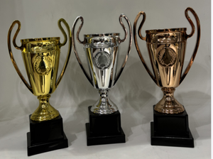 Trofeo produttore all'ingrosso personalizzato OEM metallo premio sportivo coppa d'oro <span class=keywords><strong>arsenale</strong></span> trofeo - Product Image 4