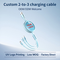 Câble rétractable personnalisé avec logo, USB type C en entrée et 3 sorties, chargeur rapide, cordon de charge multiple, cadeau promotionnel d'entreprise