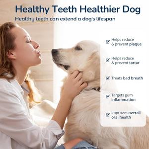 Poudre dentaire <span class=keywords><strong>pour</strong></span> chiens à marque privée, supplément <span class=keywords><strong>pour</strong></span> animaux de compagnie, élimination de la plaque et du tartre et amélioration de la santé bucco-dentaire, au thé vert - Product Image 2