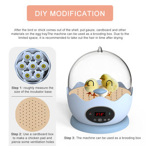 Économie d'énergie, faible puissance, réduction de bruit, Mini incubateur d'œufs entièrement automatique - Product Image 5