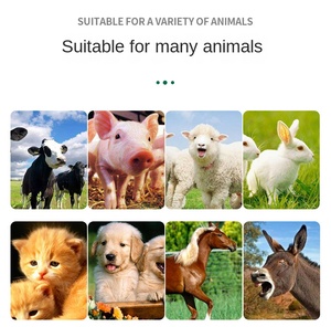 2025 bán chạy nhất giỏ hàng-loại máy siêu âm đầy đủ da Analyzer cho con người & vets với EU nó JP chúng tôi Za cắm các loại - Product Image 4