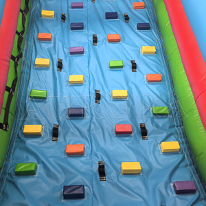Commercial Kids <strong>Slide</strong> Double lane Tropical Palm Tree <strong>Cheap</strong> <strong>Inflatable</strong> <strong>Slide</strong> Water <strong>Slide</strong> with Pool for Kids and Adult Waterslide - Product Image 5