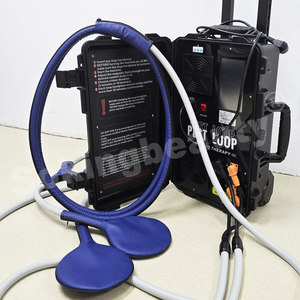 Máquina de Terapia PEMF Confiable para Caballos con Frecuencia y Gauss Ajustables, Ideal para Terapeutas Equinos Profesionales y Distribuidores - Product Image 6