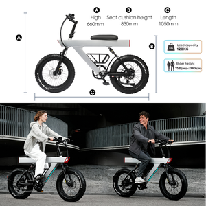 จักรยานไฟฟ้าสำหรับผู้ใหญ่รุ่นใหม่ 750W ขนาดยาง 20 นิ้ว แบบ Fatbike สำหรับเมืองและภูเขา พร้อมแบตเตอรี่ถอดได้ - Product Image 2