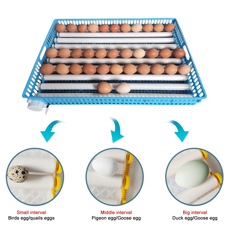 Broedmachines voor kippen koop je online bij Broedmachines voor kippen koop je online bij