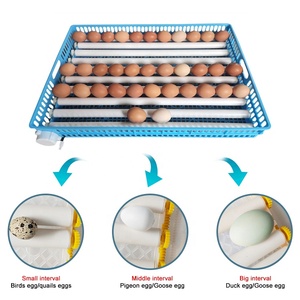 Vassoio Rotante Automatico per 100 Uova, Incubatrice con Vassoio Rotante per Uova di Gallina con Cestello Blu - Product Image 5