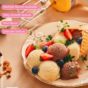 Polvere per Gelato al Cioccolato 100g con Supporto OEM/ODM, Texture Liscia, Premiscela per Gelato per Caffetterie e Negozi di Dolci - Product Image 4