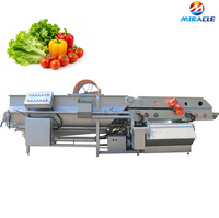 Laveuse de mangues, laveuse de fraises, laveuse de cerises, machine de nettoyage de fruits