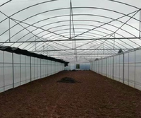 Serres monocoupelles personnalisées en polytunnel pour l'agriculture, solution clé en main, directement de l'usine chinoise
