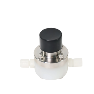 Valve de rappel en PVDF, résistante aux produits chimiques, à diaphragme, en plastique - Product Image 5