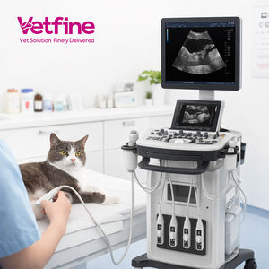 Nuevo Ecógrafo Veterinario Móvil Tipo Carro con <span class=keywords><strong>Doppler</strong></span> Color 4D para Uso Hospitalario con Nueva Tecnología - Product Image 1
