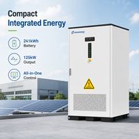 Armoire de stockage d'énergie solaire diesel LiFePO4 125 kW 241 kWh, protection IP54, compatible réseau hybride, pour ferme solaire européenne, avec prise en charge du décalage de charge