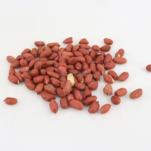 Wholesale Chinese Raw Peanut Price Red Skin Peanut Kernel