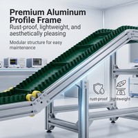 OEM Automatisches Z-Bandförderer-System mit Kippbehälter für vertikale Förderung von verpackten Snacks