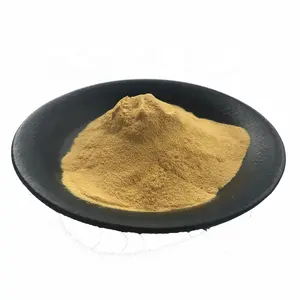 Pure Natural French Maritime Pine Bark Extract Powder With Best Price