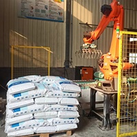 Farine automatique/alimentation 50kg sac Kuka Robot bras sac palettiseur système Robot de palettisation