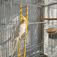 Échelle en plastique durable imitation bambou, rectangulaire, multi-tailles, pour l'enrichissement des cages à perroquets