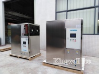 Máquina Comercial para Hacer Cubitos de Hielo para Alimentos Frescos