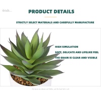 Plantes succulentes artificielles texturées en Pot de 6.7 pouces de hauteur, bonsaï, Faux Cactus, aloès, plantes succulentes synthétiques Premium avec Pot