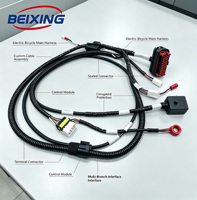 Harnais de câblage principal pour vélo électrique BeiXing OEM ODM, assemblage de câbles personnalisés pour moto, câble électronique en PVC avec indice de protection IP66 et âme en cuivre