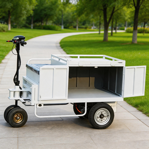 Nuevo Triciclo Eléctrico de 2 Vías 2026 con Estructura de Acero, Carrito de Comida Móvil, 1 Año de Garantía <span class=keywords><strong>para</strong></span> Venta Ambulante de Bebidas, <span class=keywords><strong>Helados</strong></span> y <span class=keywords><strong>Kiosco</strong></span> - Product Image 4