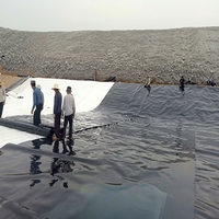 Géotextiles non tissés aiguilletés à fibres courtes de 100G-800G pour la construction routière et la séparation des sols