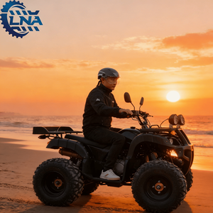 <span class=keywords><strong>Quad</strong></span> sportif LNA à quatre roues <span class=keywords><strong>250cc</strong></span>, entretien facile, course sur piste - Product Image 1