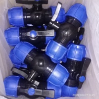 KEXING IRRIPLAST OEM ISO 17885 SANS 17885 CE PN16 PN10 Accesorios de compresión de riego PP HDPE F/F Válvula de bola de plástico PE