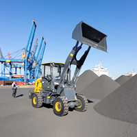 Gebrauchter Shantui Radlader 1,8 Tonnen Nennlast Motor Metallrecycling Anlage Baustellenmaschine Großhandel Export Direktlieferung Schwerlastgerät
