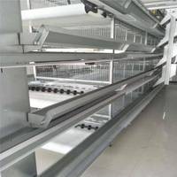 Cages à poulets automatiques en acier galvanisé et plastique de type H, à étages, pour l'élevage, marque TBB, best-seller, garantie 1 an