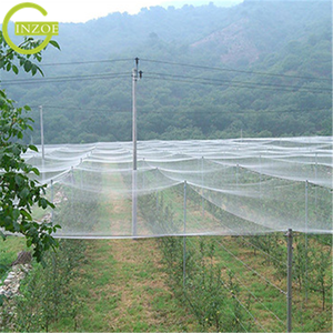 <span class=keywords><strong>Malla</strong></span> de seguridad <span class=keywords><strong>para</strong></span> <span class=keywords><strong>gatos</strong></span> a precio competitivo <span class=keywords><strong>para</strong></span> <span class=keywords><strong>balcón</strong></span> - Product Image 5