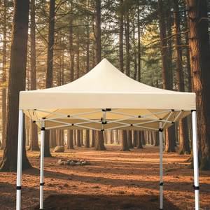 Tente de réception pliable 10x10 pieds avec structure en acier, résistante aux UV et imperméable, idéale pour salons professionnels, expositions et événements en extérieur - Product Image 1