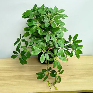 Planta Artificial Colgante Schefflera de Siete Estrellas, Decoración de Pared Interior, Follaje Artificial para Hogar, Bodas y Hoteles - Product Image 5