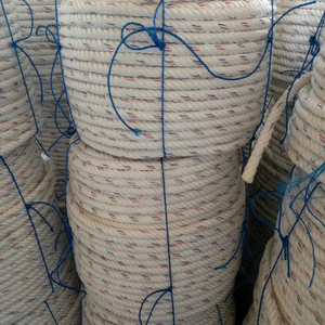 Nhà máy cung cấp dây thừng PP Danline giá rẻ, 3 sợi xoắn, chất lượng cao, làm từ nhựa PP dùng câu cá - Product Image 6