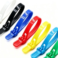 Attaches-câbles auto-bloquantes personnalisables en nylon 66 pour emballage en boîte, prix de gros abordable pour l'organisation rapide des lots