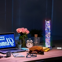 Lampe intelligente en gros, guirlande lumineuse RGB pour intérieur, décoration de fête, lampe de table, lampe tubulaire à changement de couleur