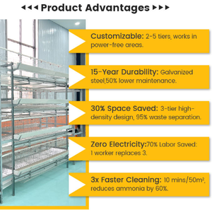 Jaula de alimentación de diseño de granja avícola tipo H, jaula de limpieza de estiércol con manivela manual para granja avícola de puesta de <span class=keywords><strong>huevos</strong></span> en <span class=keywords><strong>Guinea</strong></span> - Product Image 6