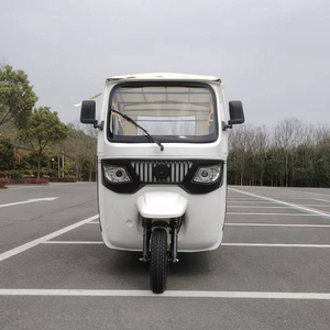 Tricycle à trois roues pour adultes, tricycle électrique pour passagers, véhicule EEC pour les voyages, les excursions touristiques, les taxis à grande vitesse - Product Image 5