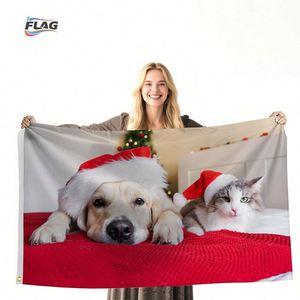 Drapeaux carrés en polyester 90*150cm OEM/ODM, logo personnalisé, anti-plis, durables, écologiques, portables pour la publicité extérieure et les événements - Product Image 2