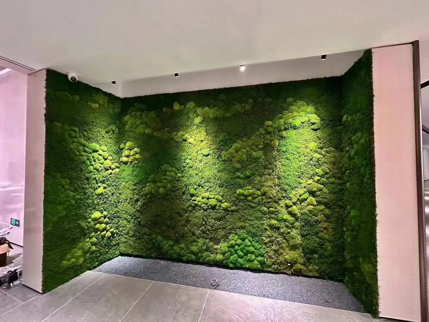 Forever Preservative Moss Wall Art Home Decor Moss Wall Panel Customized Size Green Real Natural Preserved Moss Wall