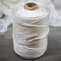 Corde en nylon tressé léger de 2mm en gros de Chine Cordon en polyamides polyvalent noir et blanc pour le camping et la randonnée