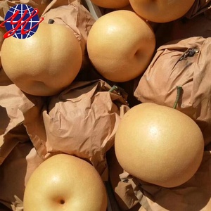 Doble capa <span class=keywords><strong>a</strong></span> prueba de agua de frutas protección de bolsas para pera cultivando - Product Image 2