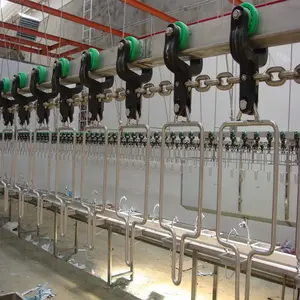 Trasportatore automatico per il taglio della carne di pollo linea impianto di lavorazione