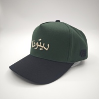 Casquettes de baseball à deux tons brodées en 3D avec lettres personnalisées, 5 panneaux, pour hommes, vente en gros, sports de plein air, OEM ODM