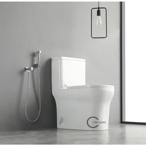 Inodoros Modernos de Cierre Suave, Sanitarios de Cerámica de Una Pieza, Inodoro Europeo de Cerámica para Suelo - Product Image 6