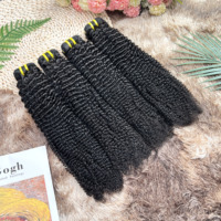Lot de Cheveux Humains Brésiliens Bruts Non Traités, Grade 12A, Naturels, Bouclés Crépus, Vierge, en Gros