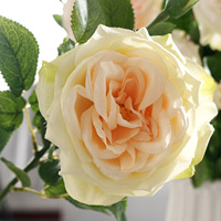 Fleur artificielle haut de gamme européenne en polyester effet soie Litchi Rose pour décoration murale de mariage à domicile et photographie extérieure