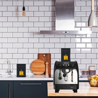 Machine à café expresso commerciale de marque italienne GAGGIA Ruby, simple et Double groupe à vendre