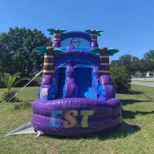 Offre Spéciale toboggan aquatique violet <span class=keywords><strong>palmier</strong></span> tropical commercial PVC marbre enfants <span class=keywords><strong>jeu</strong></span> de fête toboggan aquatique gonflable avec piscine - Product Image 4